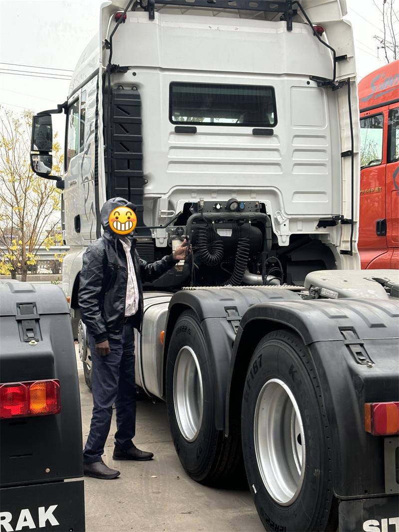 How LUYI Helped a Malawian Logistics Company Upgrade Fleet Efficiency with 3 HOWO Trucks